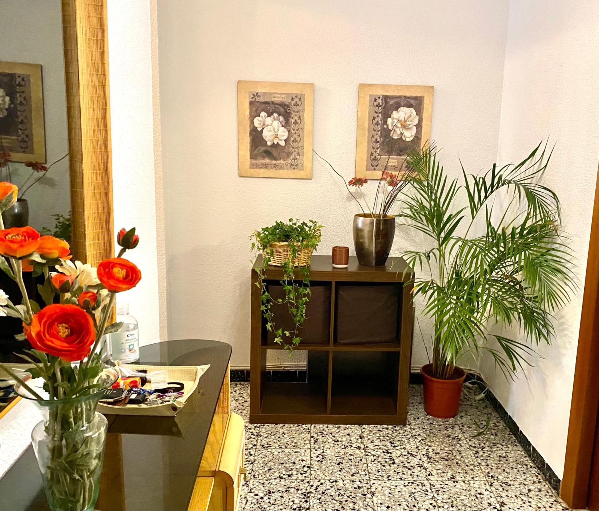 Habitacion My Home Alicante Exterior foto